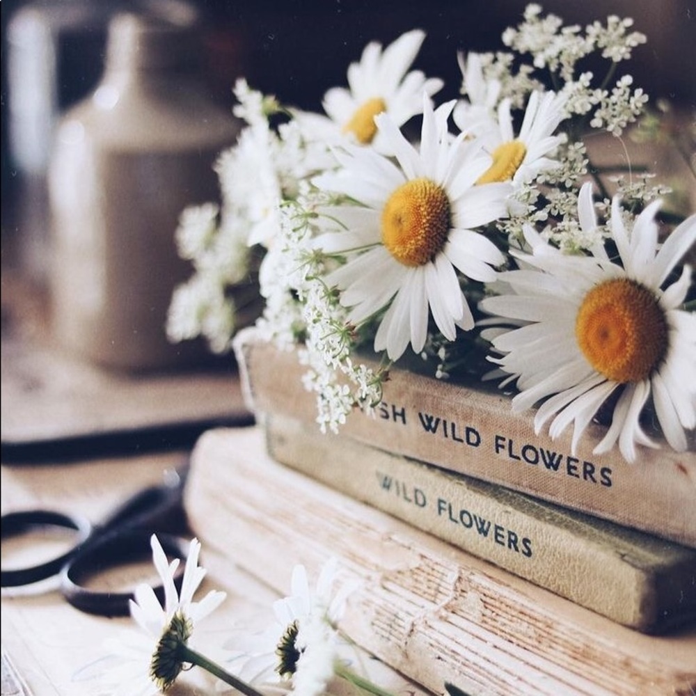 Meet your Posher, Daisy